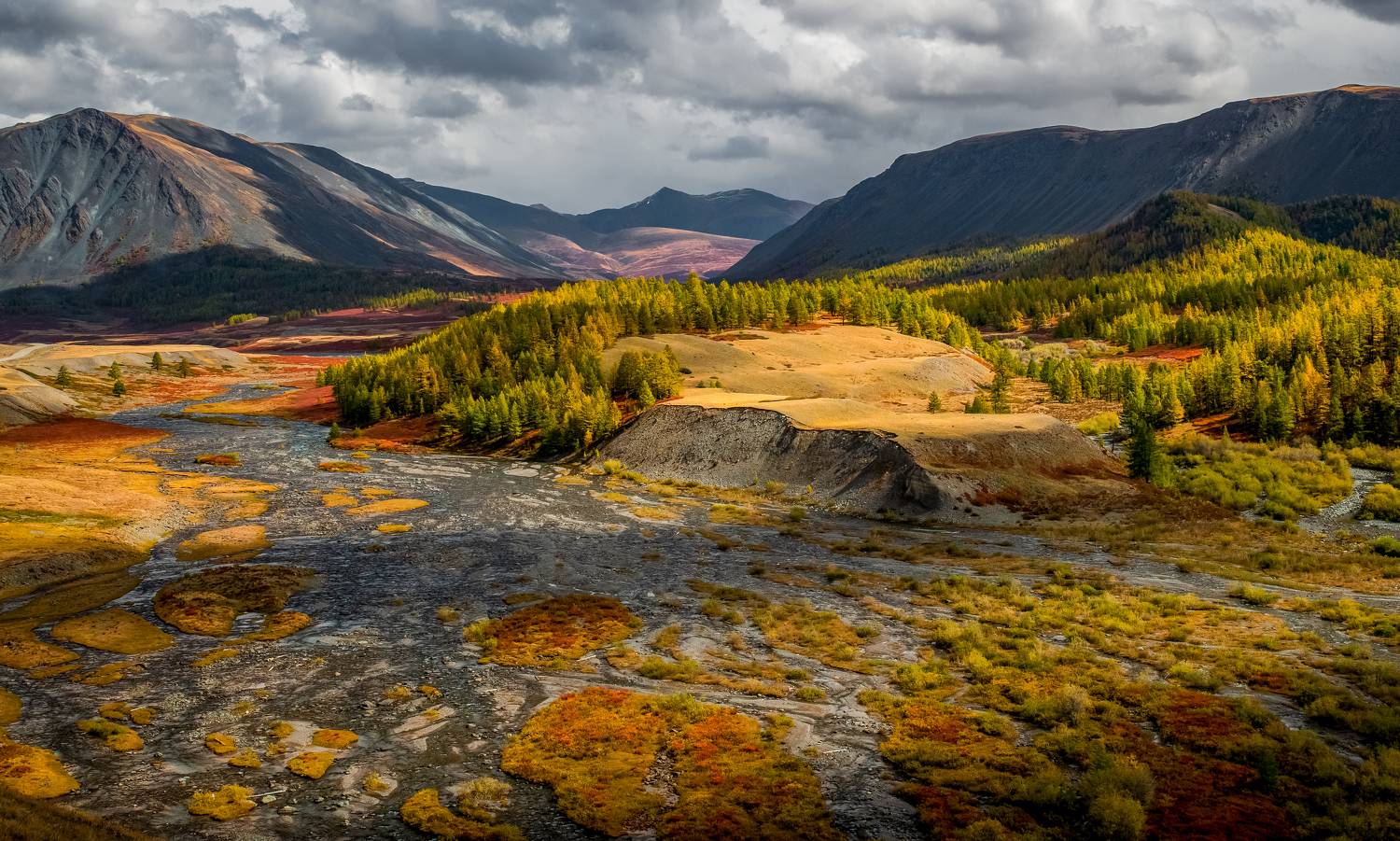 , Tatiana Meshcheryakova