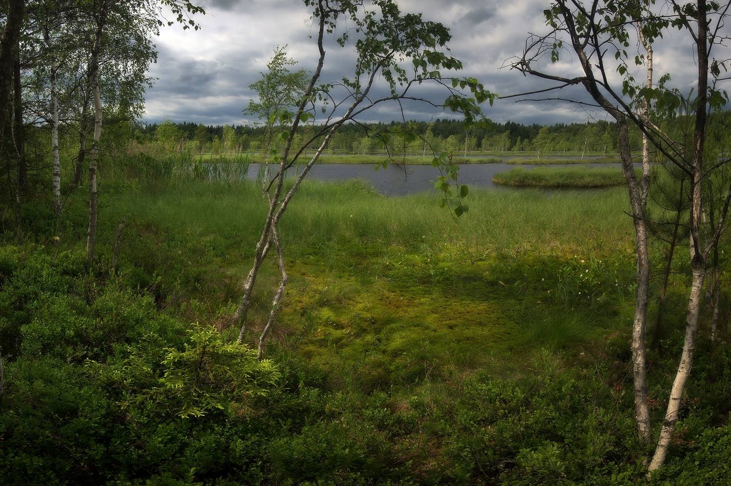 , Алексей Никонов