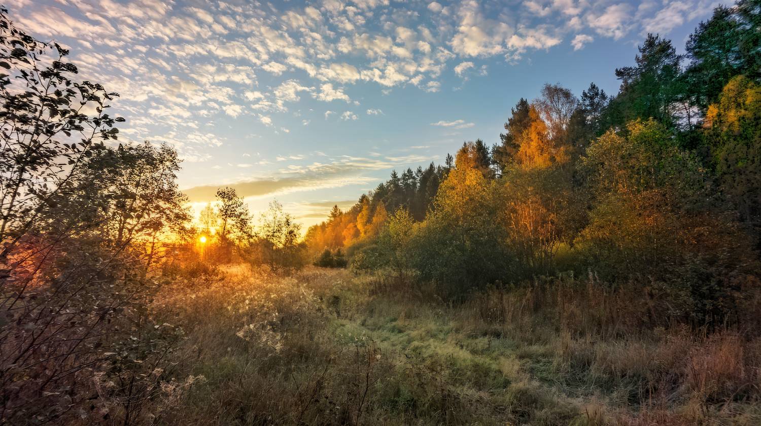 , Евгений Ерохин