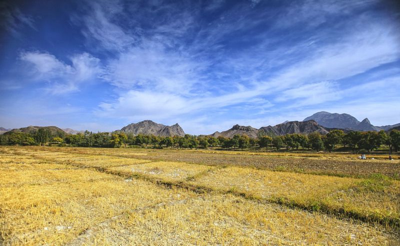 Исфаринская осень… Исфара-Чоркух- Ворух.Таджикистан фото превью