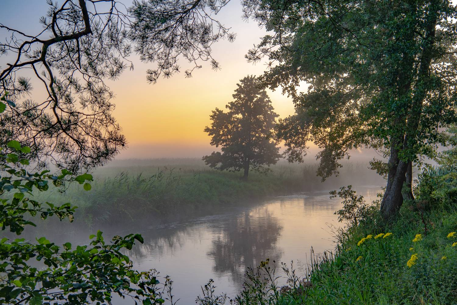 , Руслан Авдевич