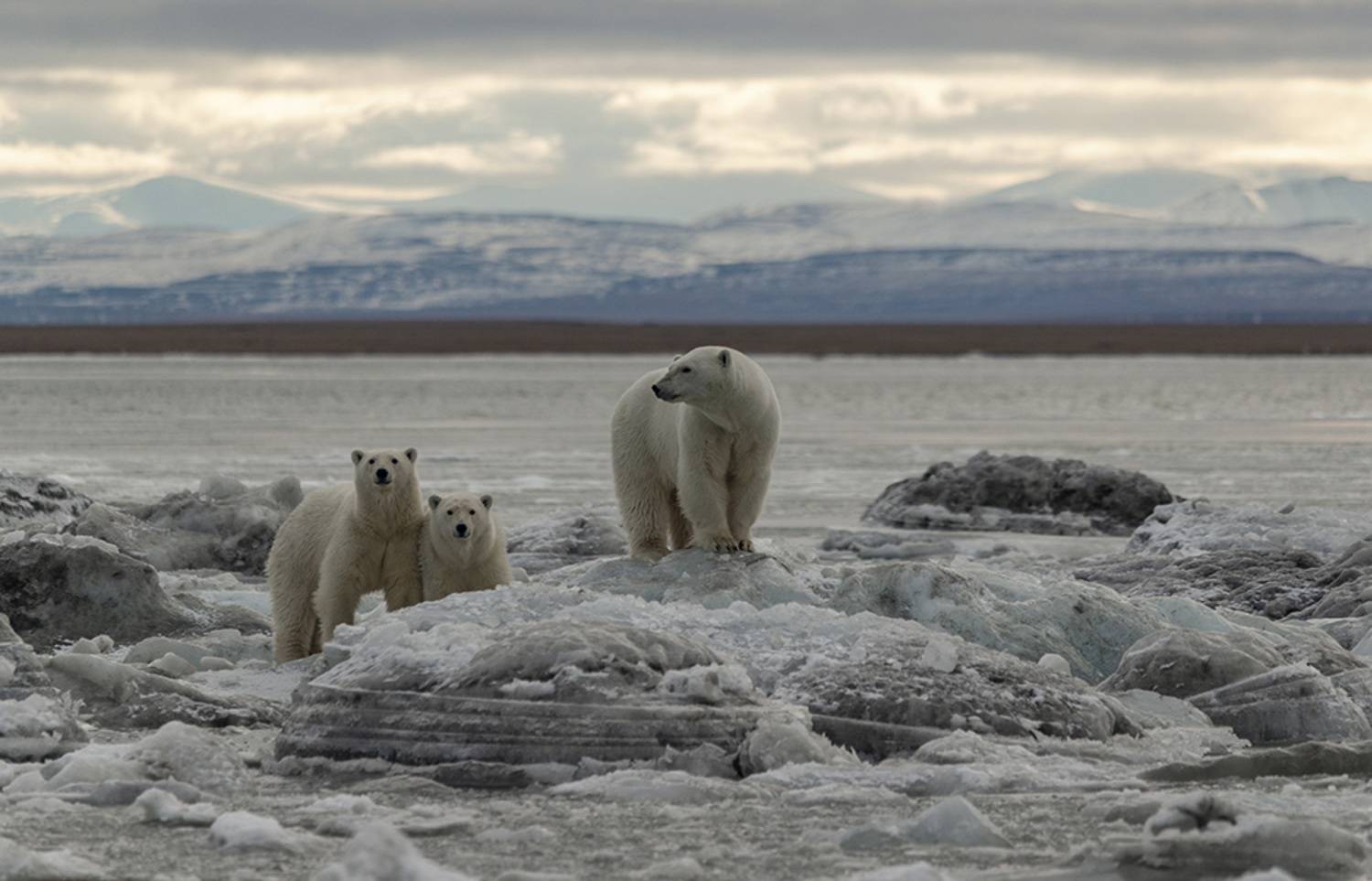 , Максим Деминов