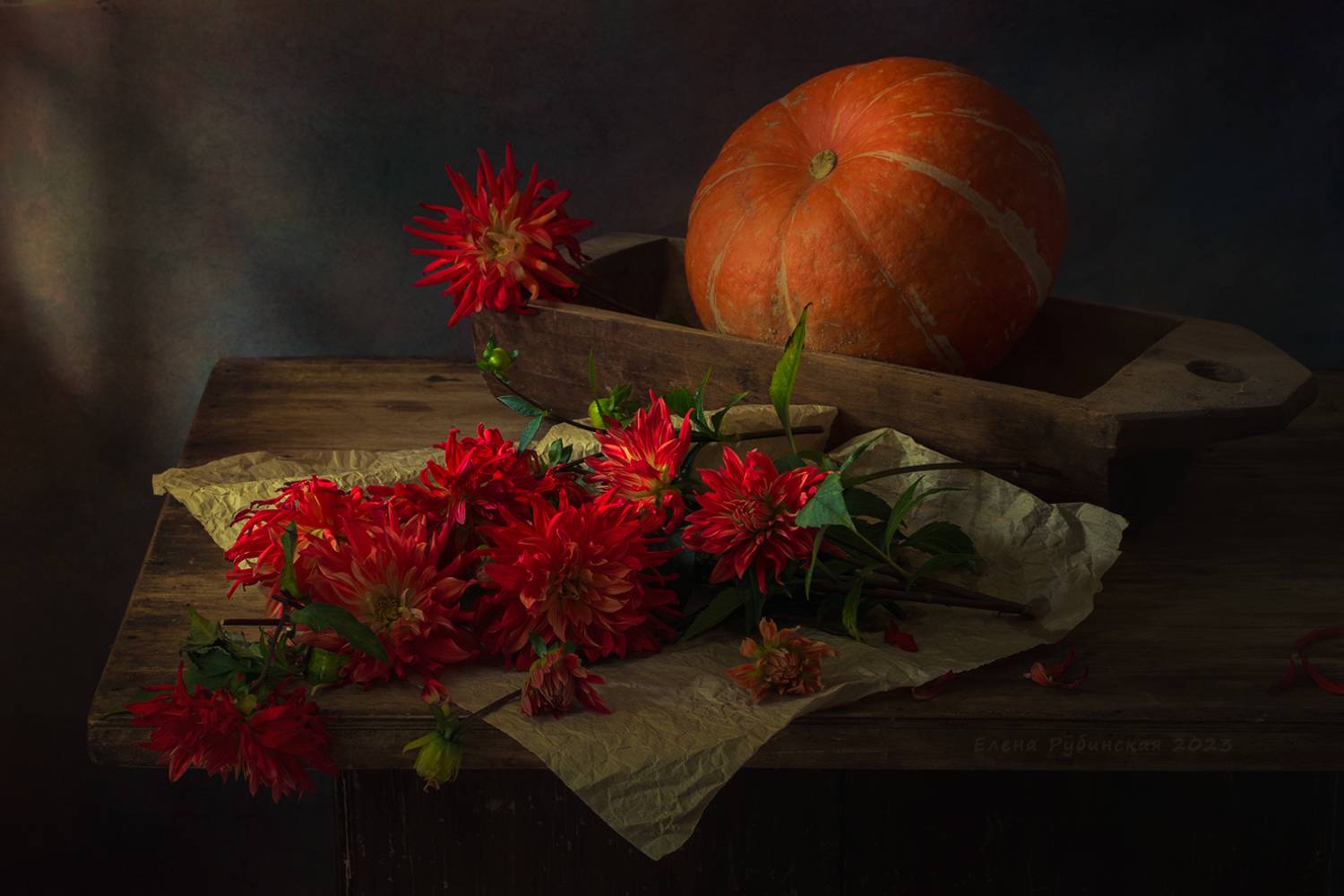 , Елена Рубинская