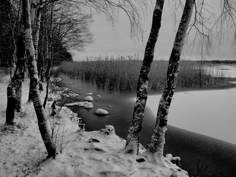 Начало фото превью