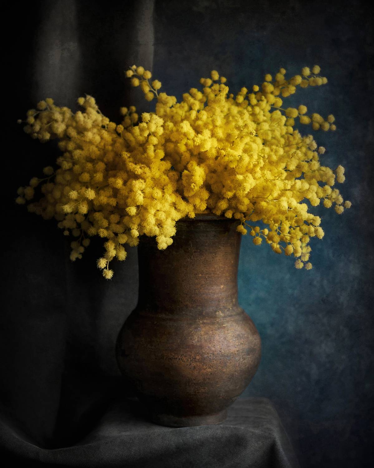 , Сергей Кот