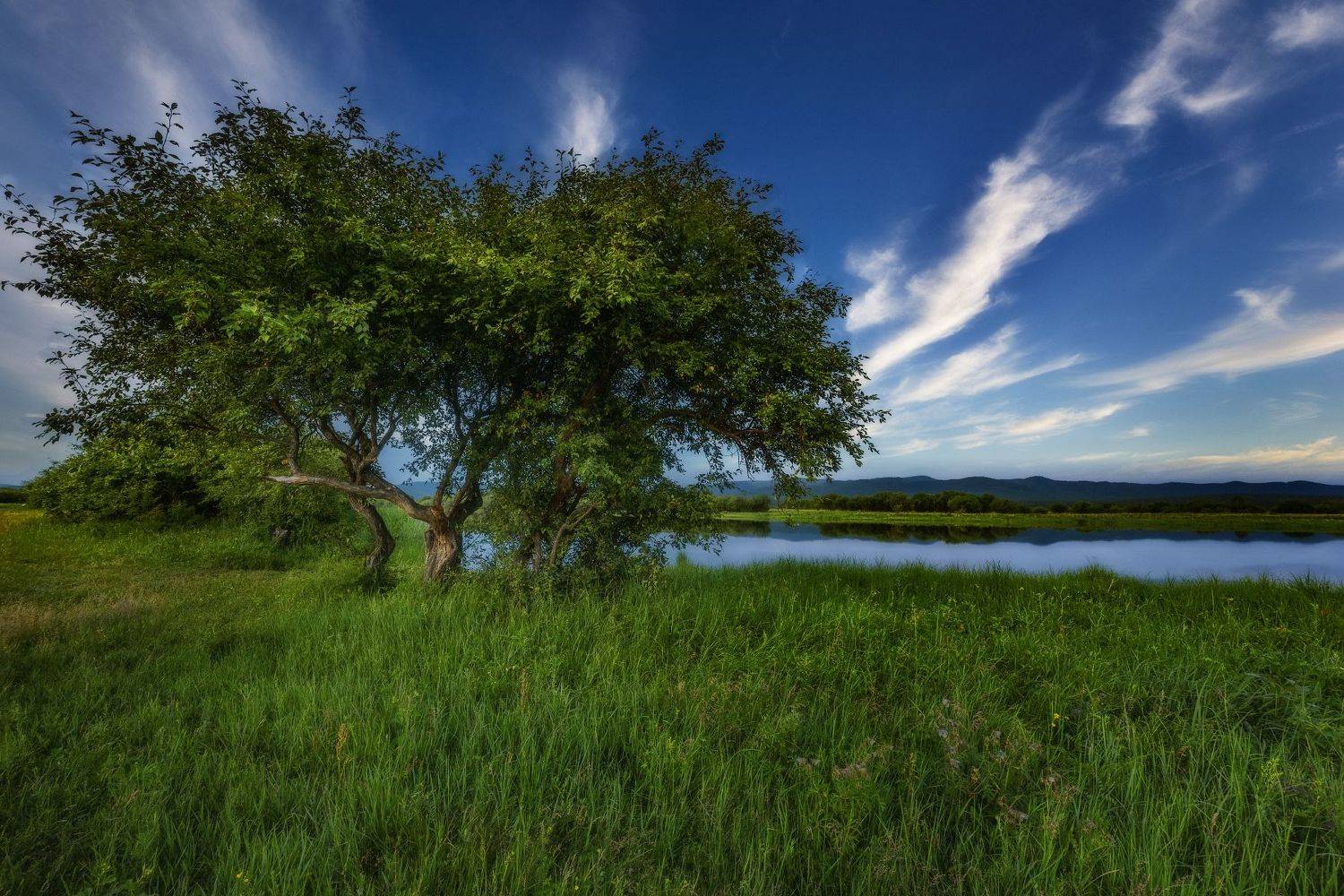 , Владимир Климов