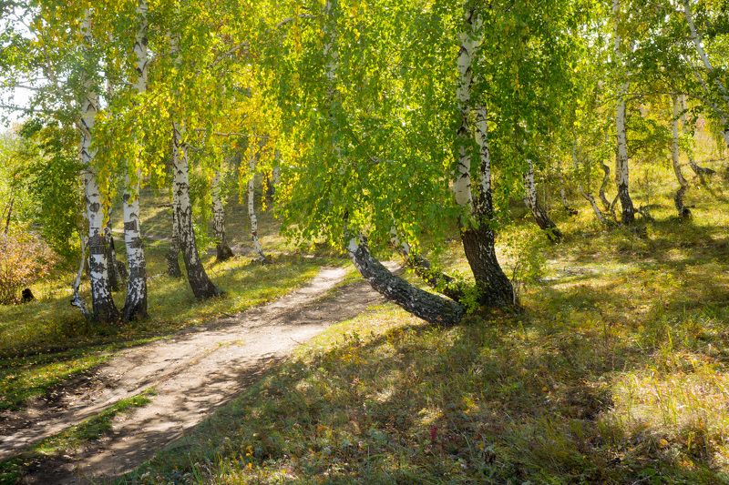 ранней осени краски фото превью