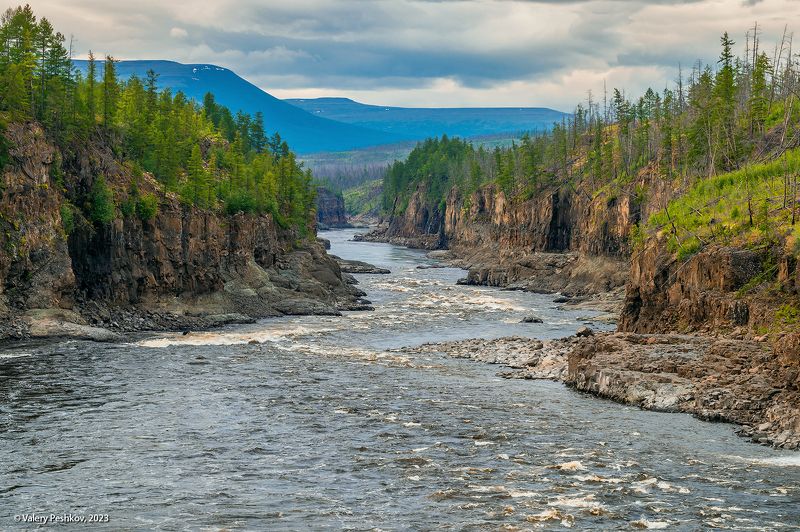 река курейка, каньон, плато путораны, скалы, пороги, лиственницы, владимир коваль Каньон Курейки фото превью