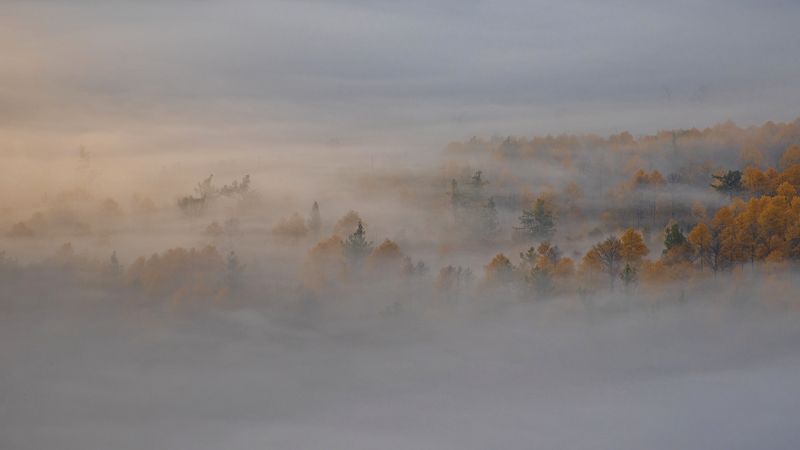 Магический ветер фото превью