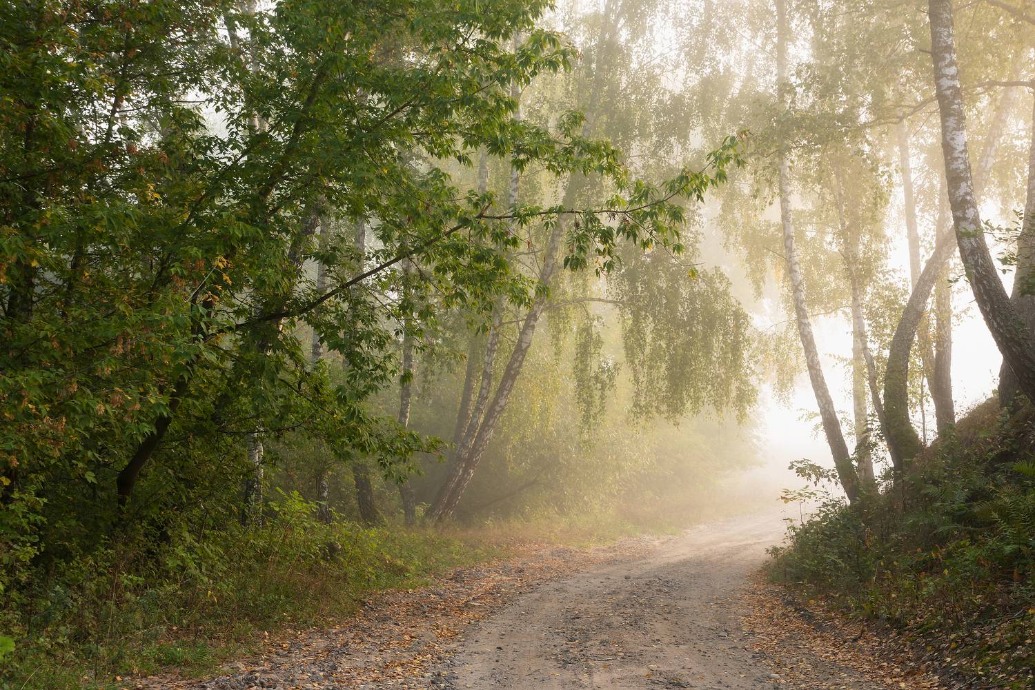 , Захаров Дмитрий