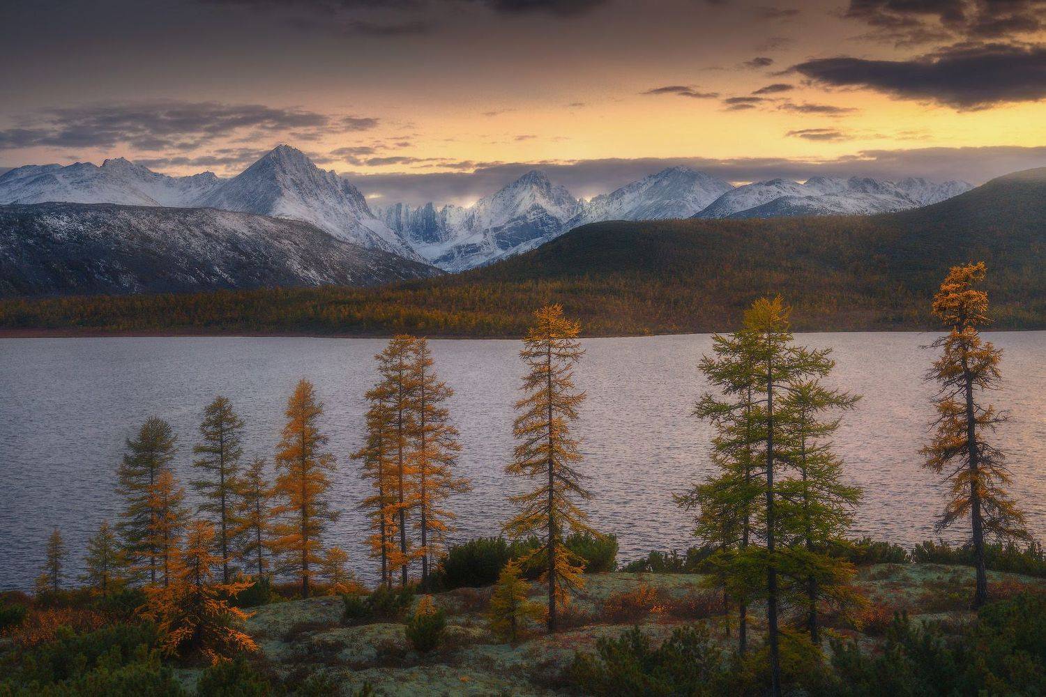 , Владимир Ляпин