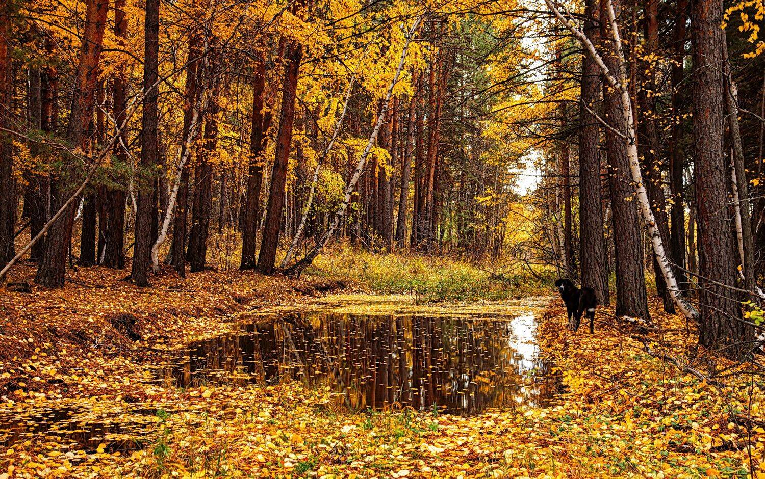 горы каркаралинск, Евгений Дроботенко