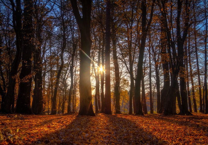 Беларусь Простое фото превью