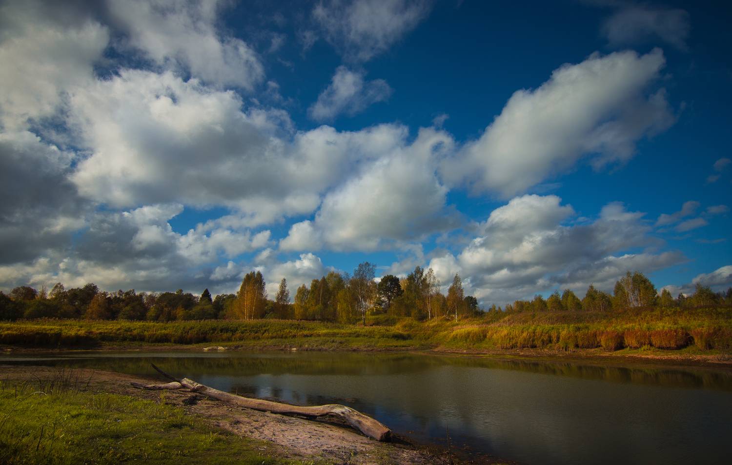 , Хвойнова Елена