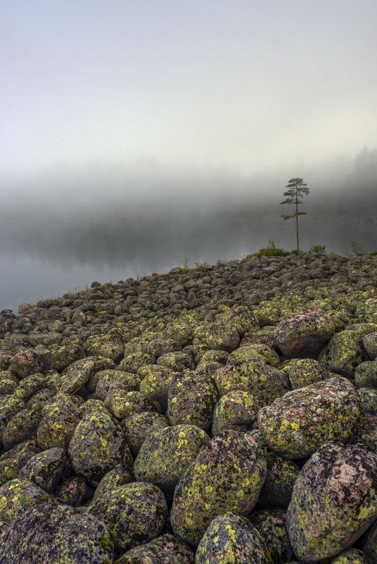 карелия Лоухиярви фото превью