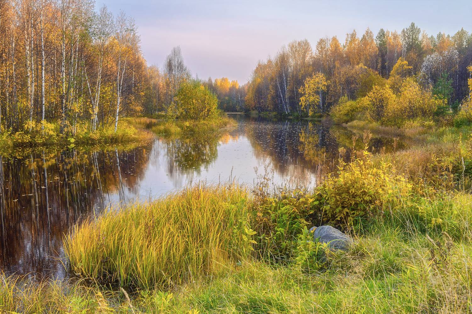 осень, сентябрь, река, лес, берег, вода, отражения, кусты, деревья, тишина, Вера Ра