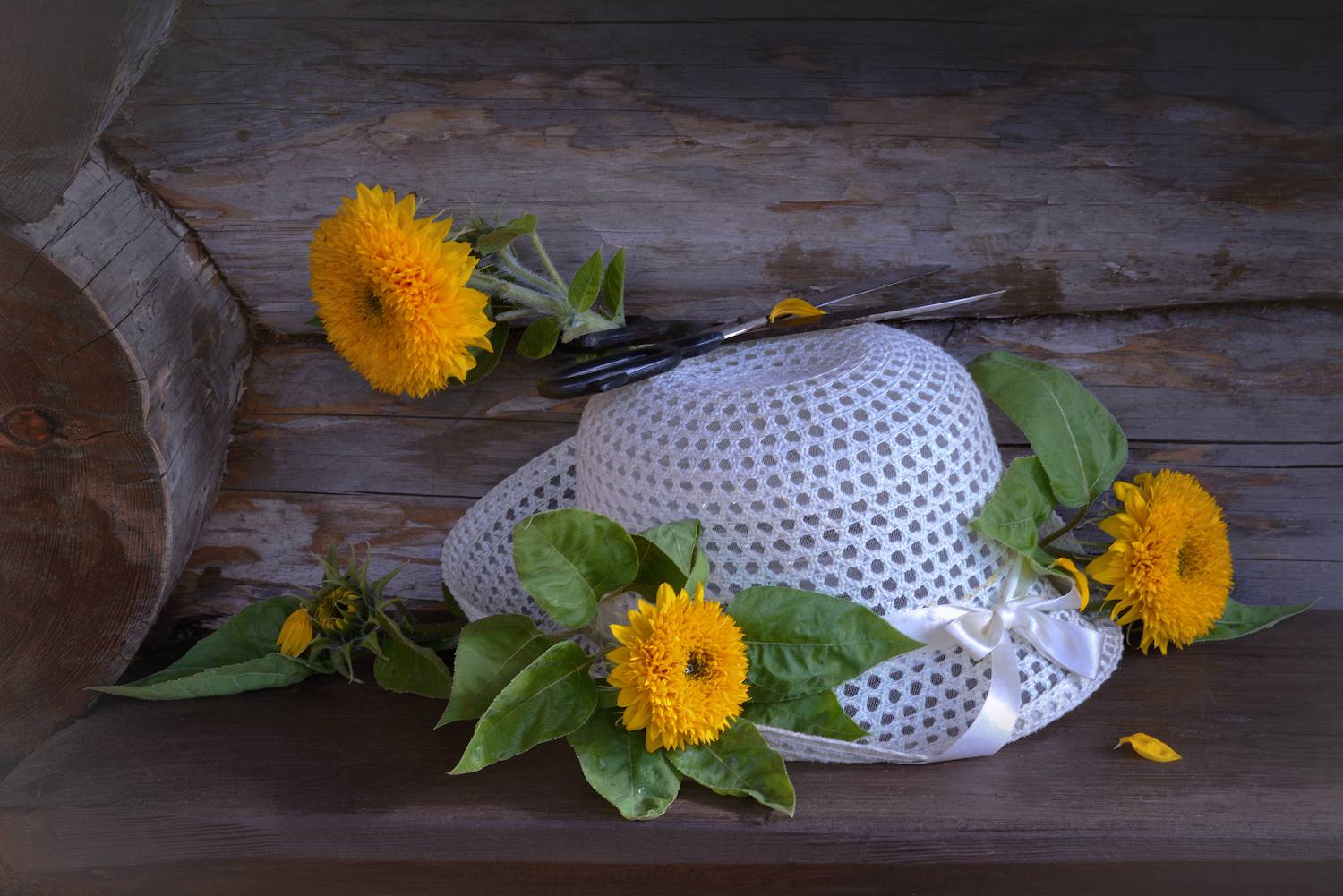 , Марина Никифорова