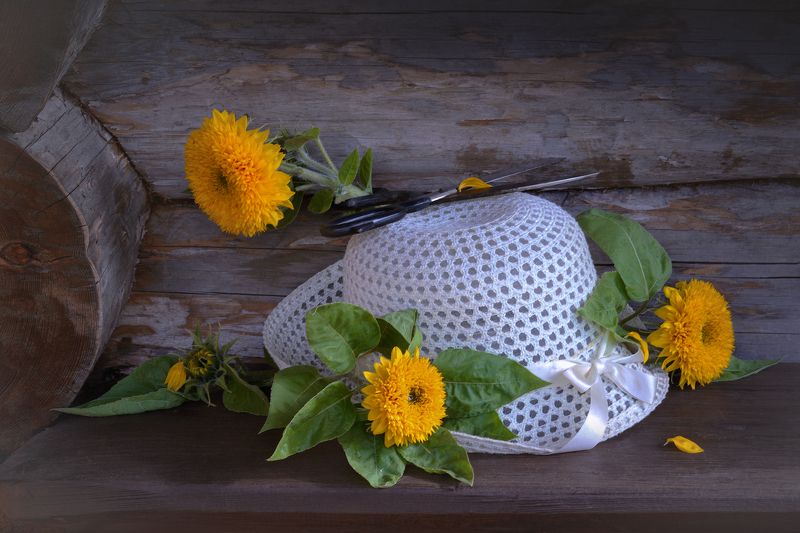 Исчезли солнечные дни ... фото превью