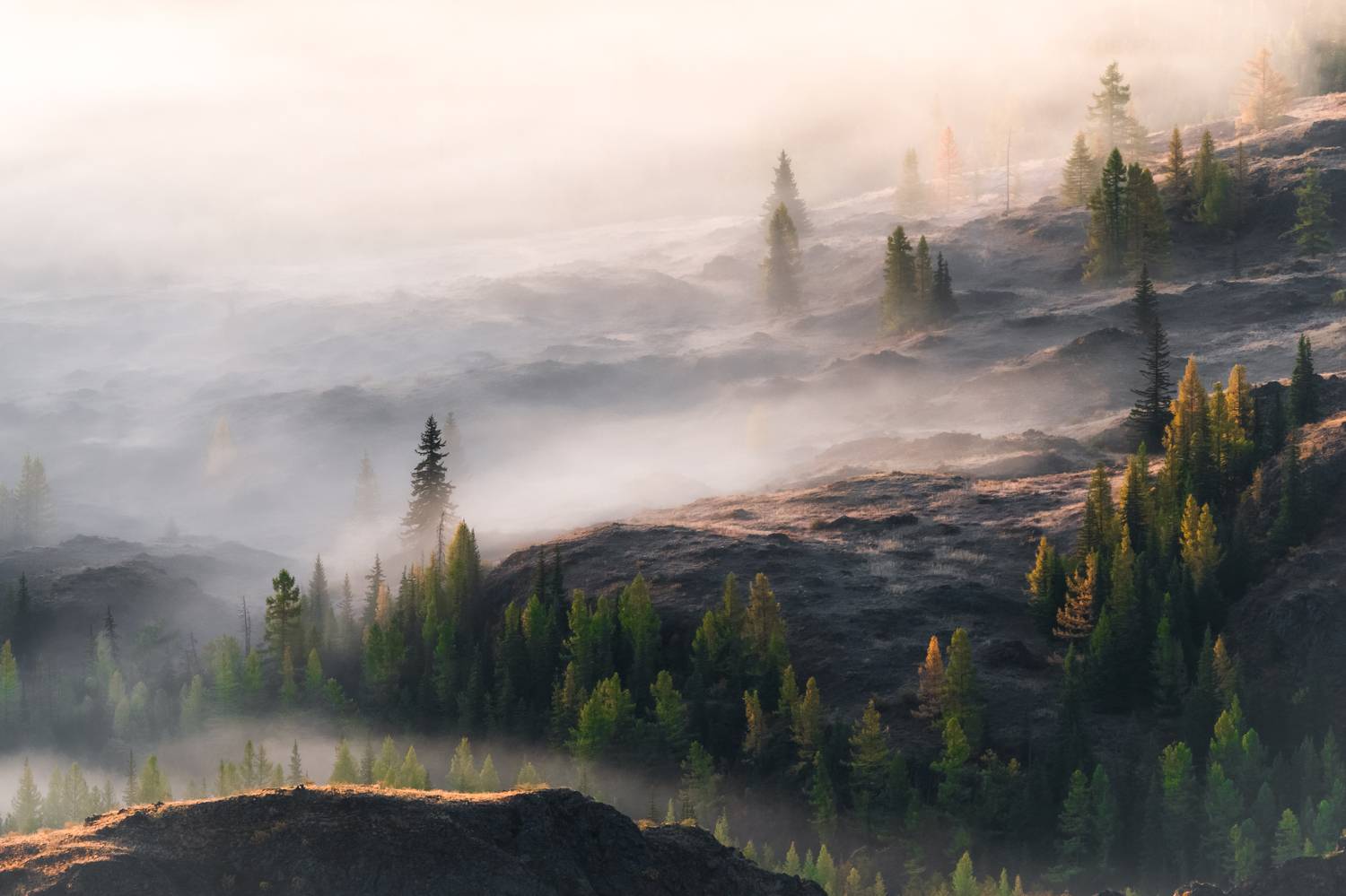 , Tatiana Meshcheryakova