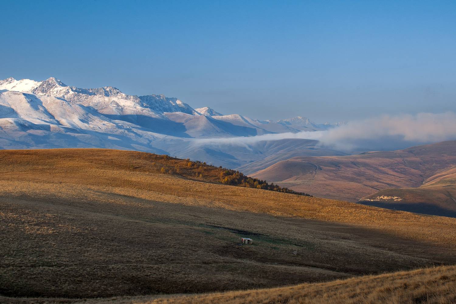 , Алиева Татьяна