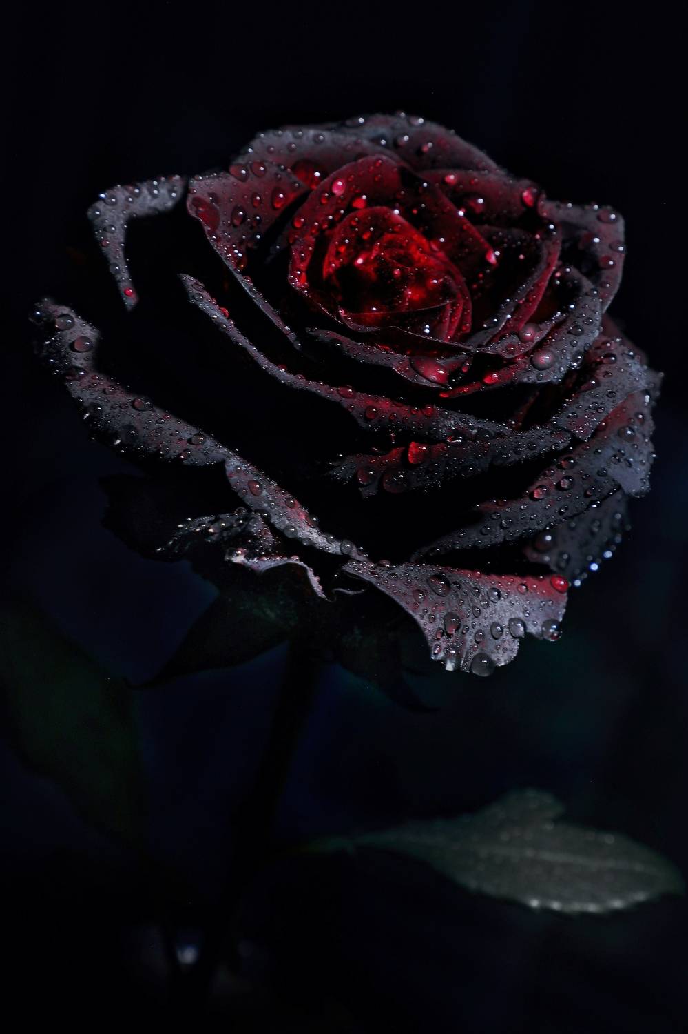 , Савчук Анатолий