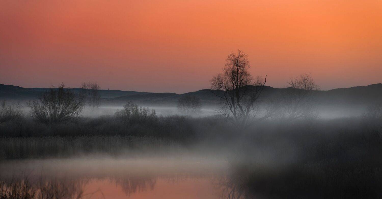 , Антонов Антон