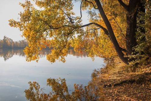 Тихой осени пора!