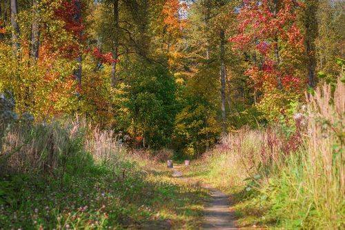 На ладонях осени