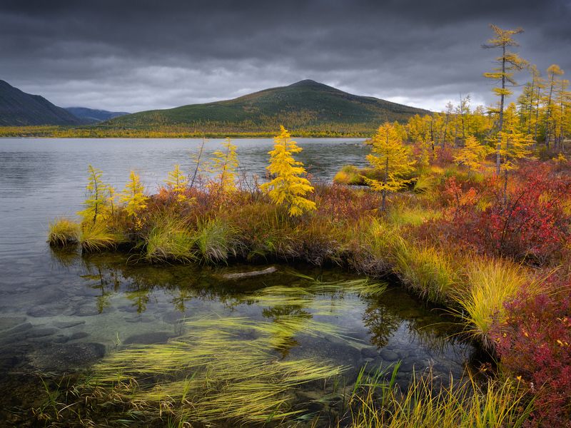 Тихая заводь фото превью