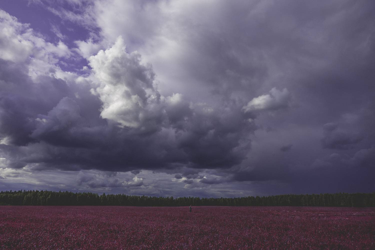 ZapWorld,zap,zap shevtsov,Сергей Шевцов,темное,ночь,синематик,яркое,Необычное,лучшее фото,креативное,креатив,винтажное,пленочное, Sergey Shevtsov