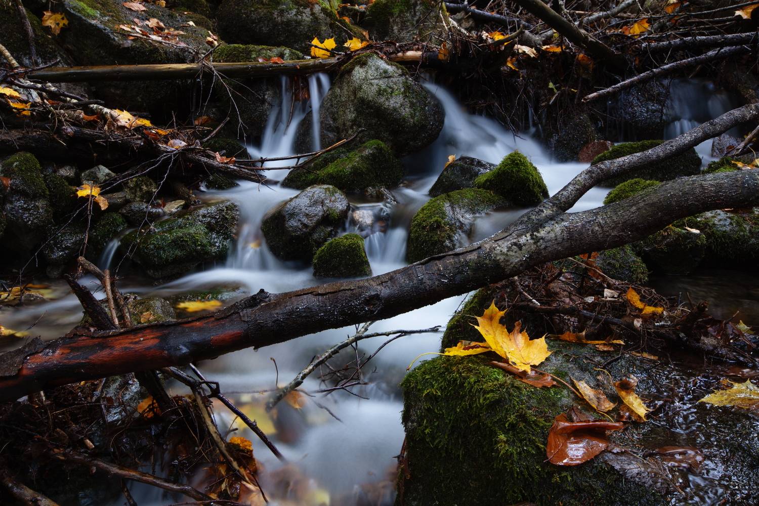 теберда, кчр,крачаево-черкесия , шумка,речка,лесная речка, Коркин Вадим