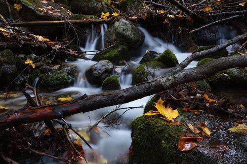Река Шумка ...