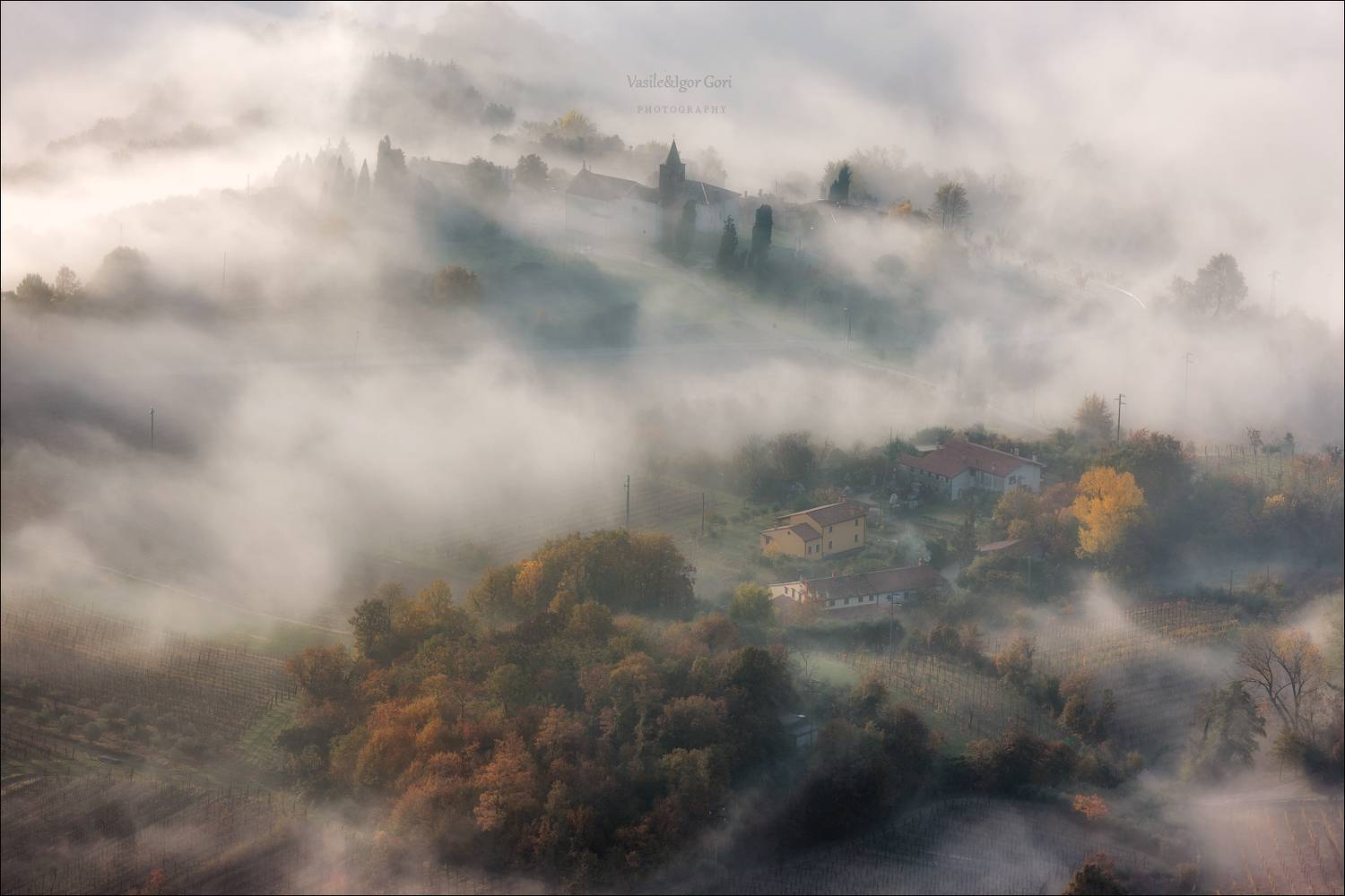 italy,faedo,italia,утро,италия,veneto,кипарисы,осень,венето,cipressi,belvedere,деревня,фаэдо,туман, Гори Василий