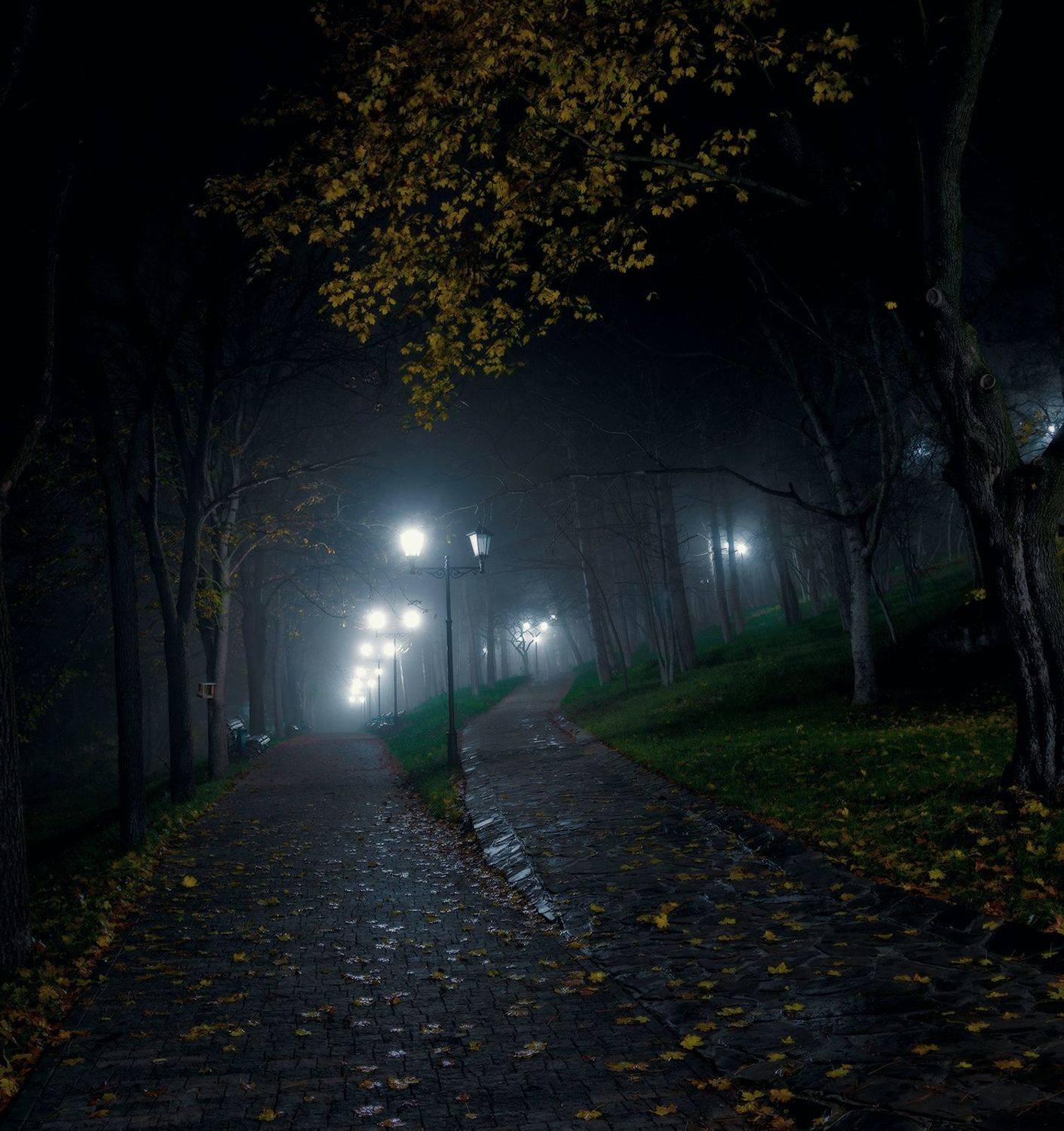 , Вадим Качанов