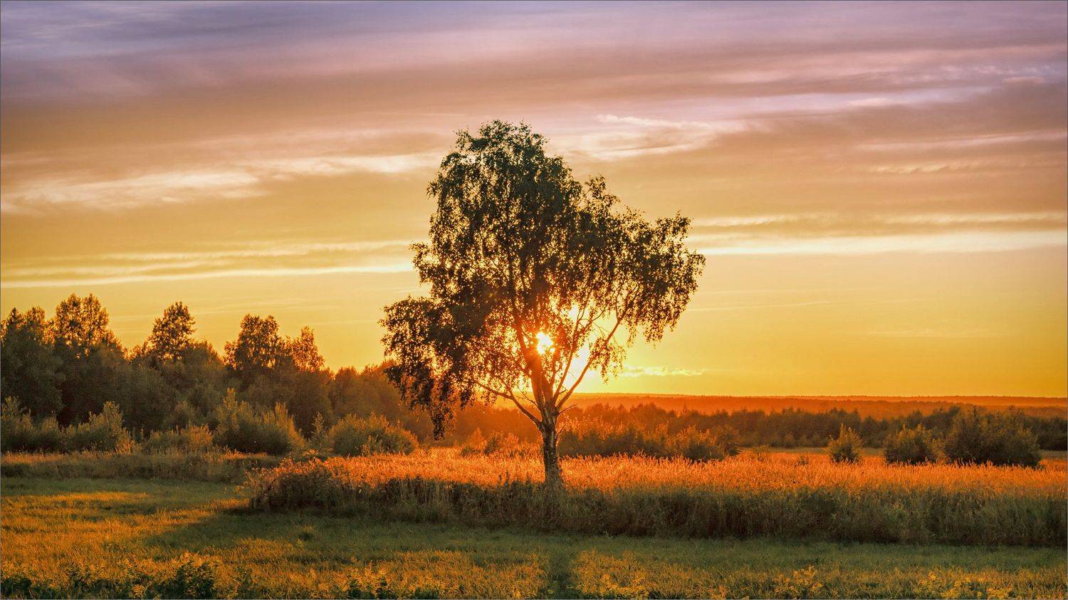 пейзаж, осень, вечер, деревня, свет, цвет, александр никитинский, Никитинский Александр