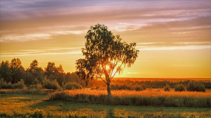 пейзаж, осень, вечер, деревня, свет, цвет, александр никитинский Осенний вечер... фото превью