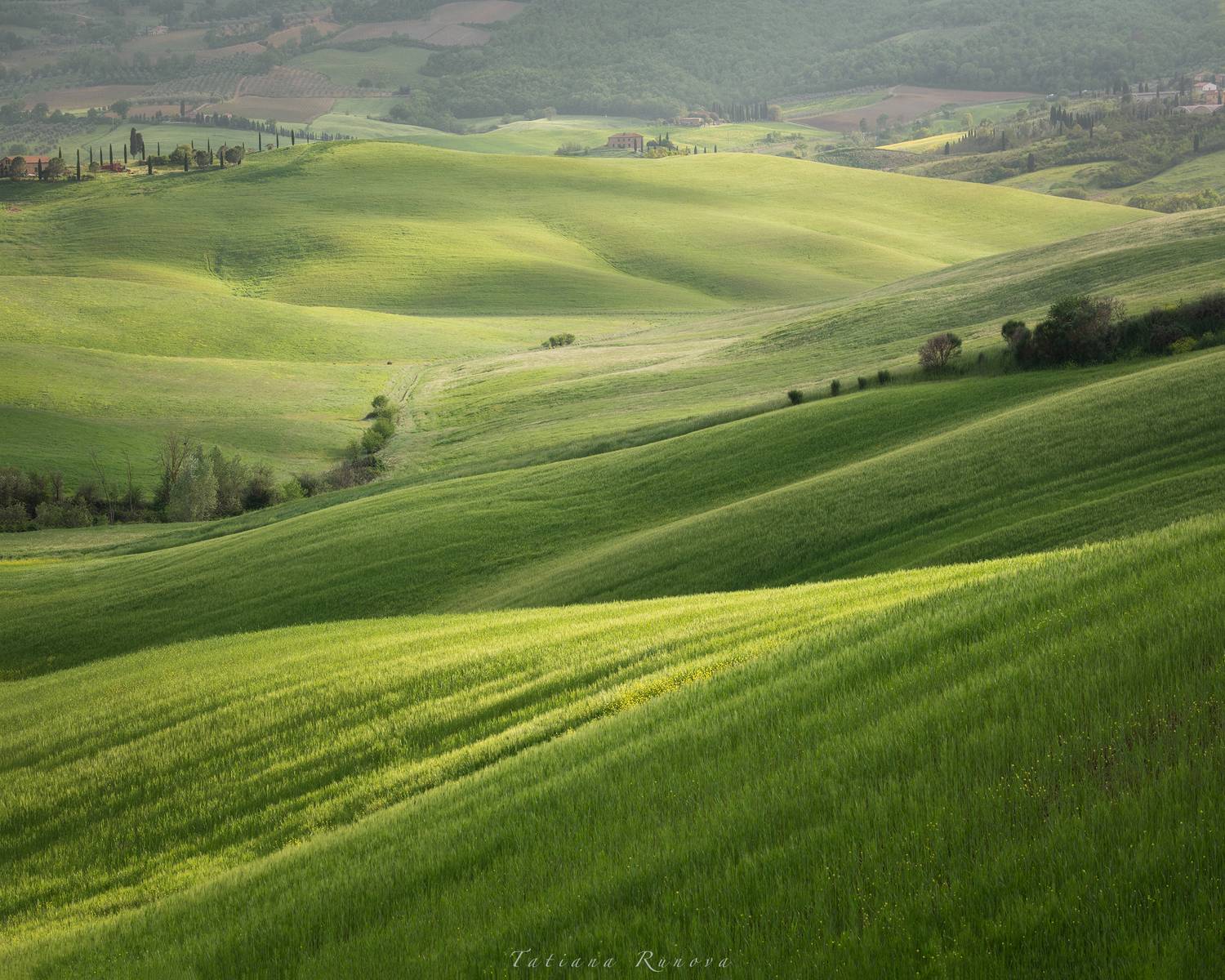 , Рунова Татьяна