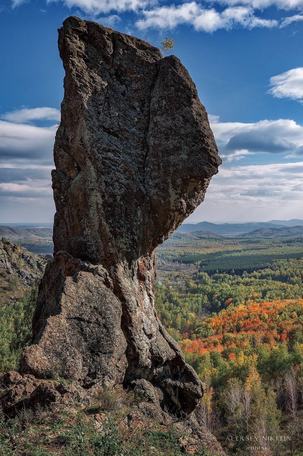 , Никитин Алексей