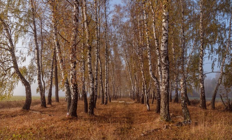 ... фото превью