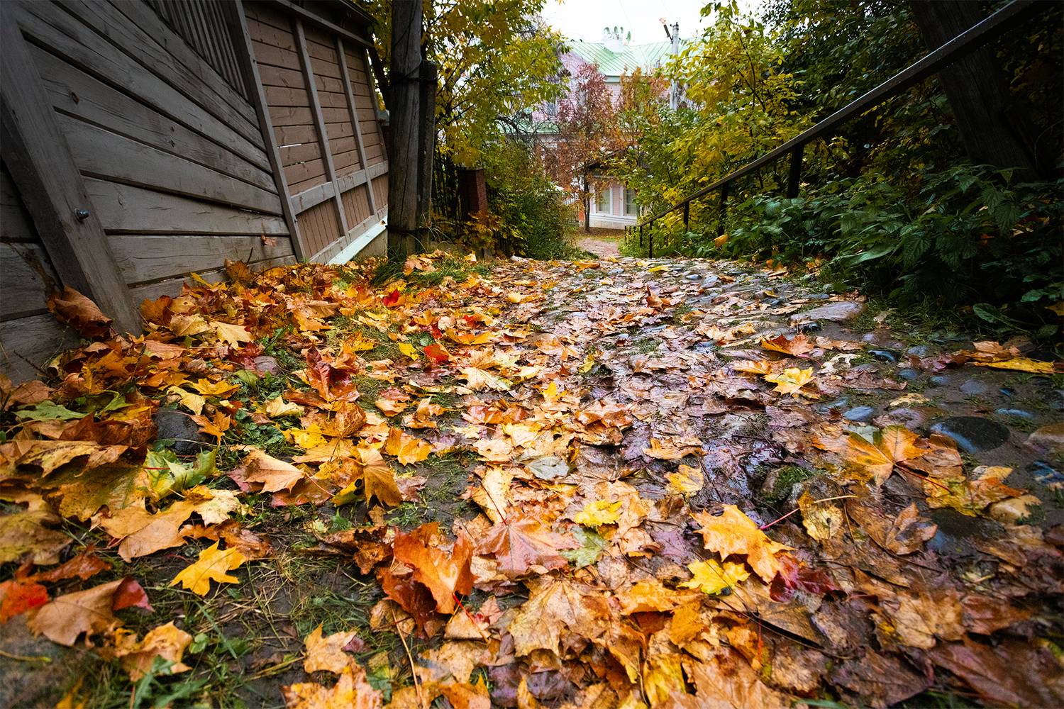 , Чудинин Дмитрий