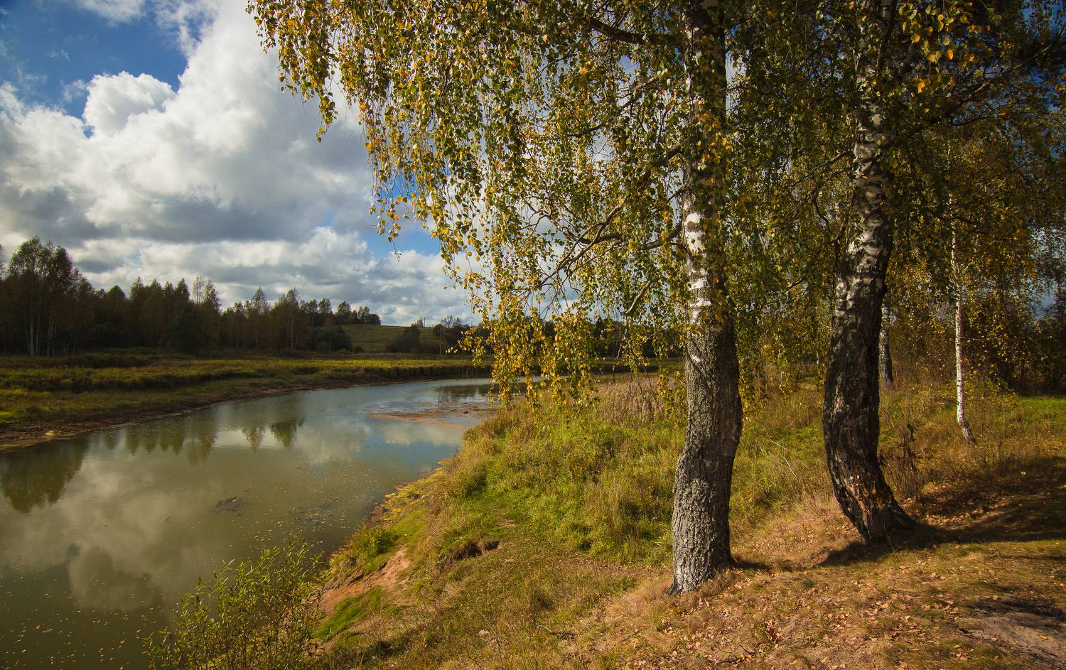 , Хвойнова Елена