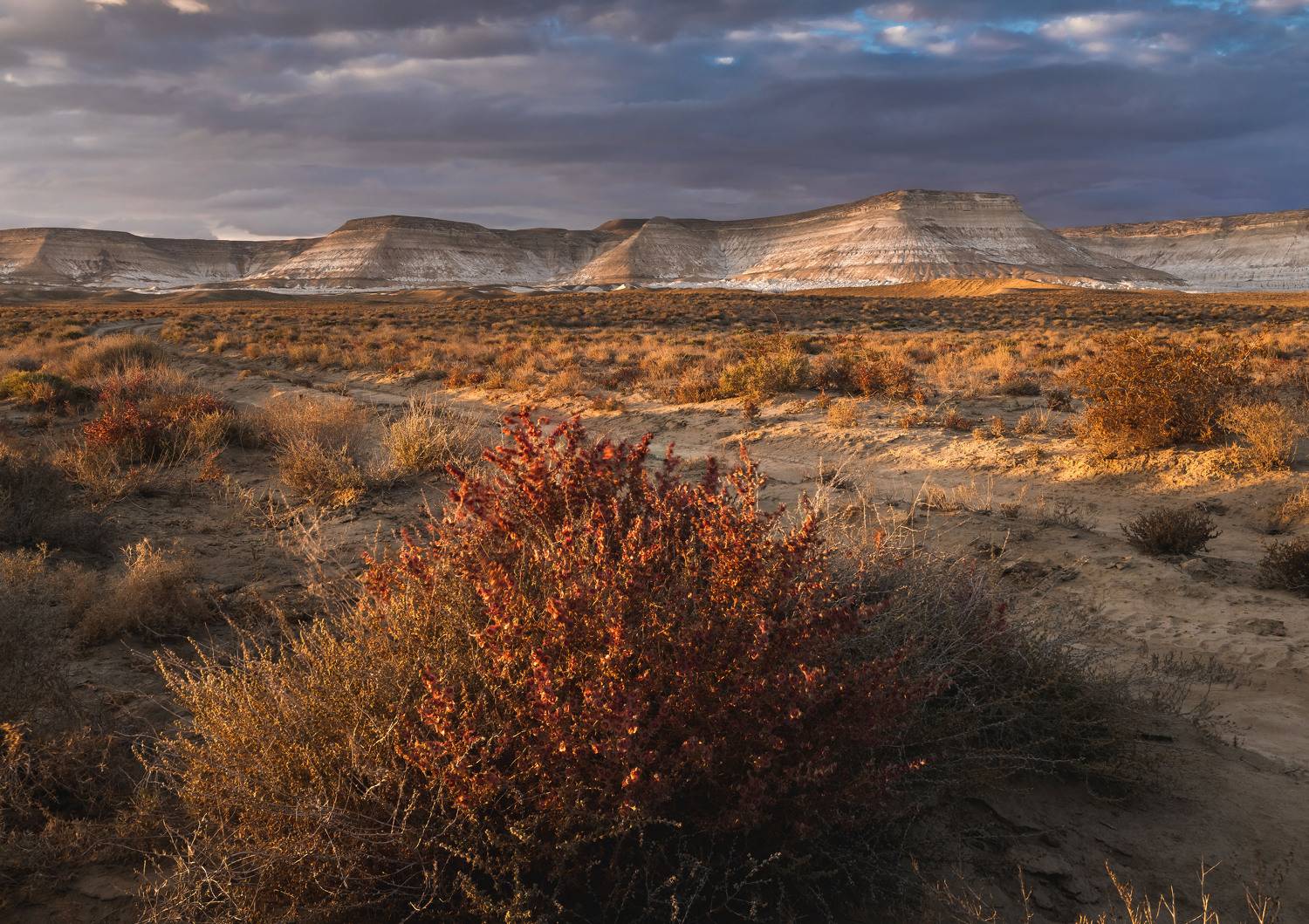 , Грамаков Юрий