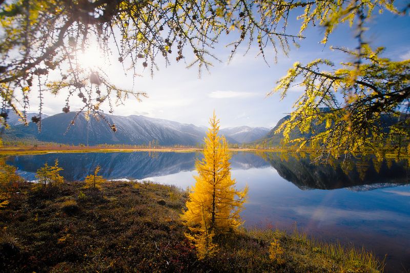 Колыма Магадан осень тайга горы снег солнце озеро Джека Лондона Озеро Джека Лондона фото превью