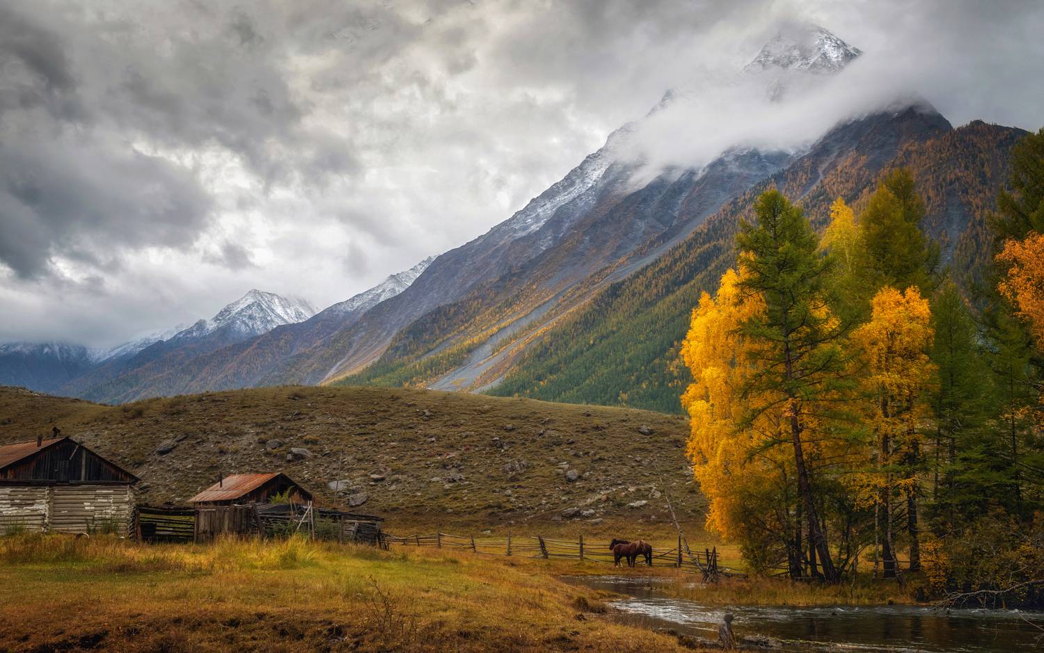 горный алтай,утро,деревня аргут( аркыт),катунский хребет,туман,речка,лошади,строения,сентябрь2023, Lora Pavlova