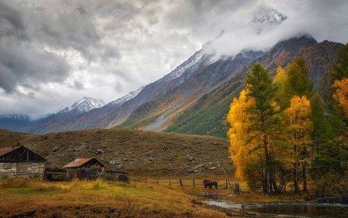 Утро в деревне (2)...
