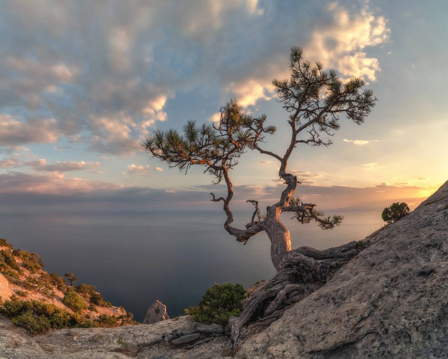 крым, новый свет, судак, море, горы, пейзаж, природа, crimea, landscape, Дмитренко Екатерина