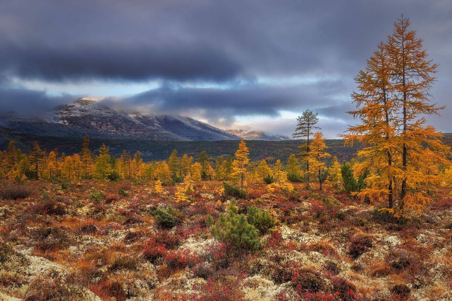 , Морозов Сергей