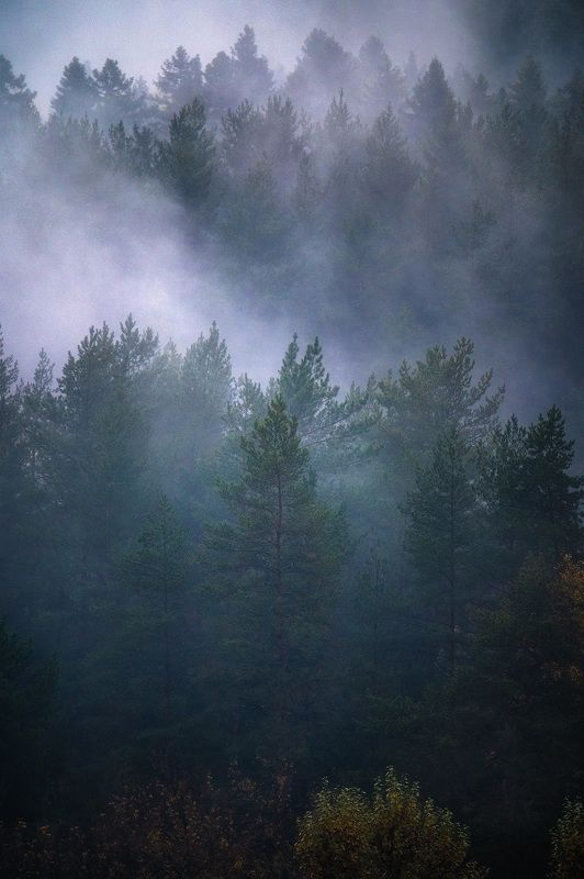 природа, пейзаж, лес, туман, мистический лес, мистика, парма, тайга Мистический лес фото превью