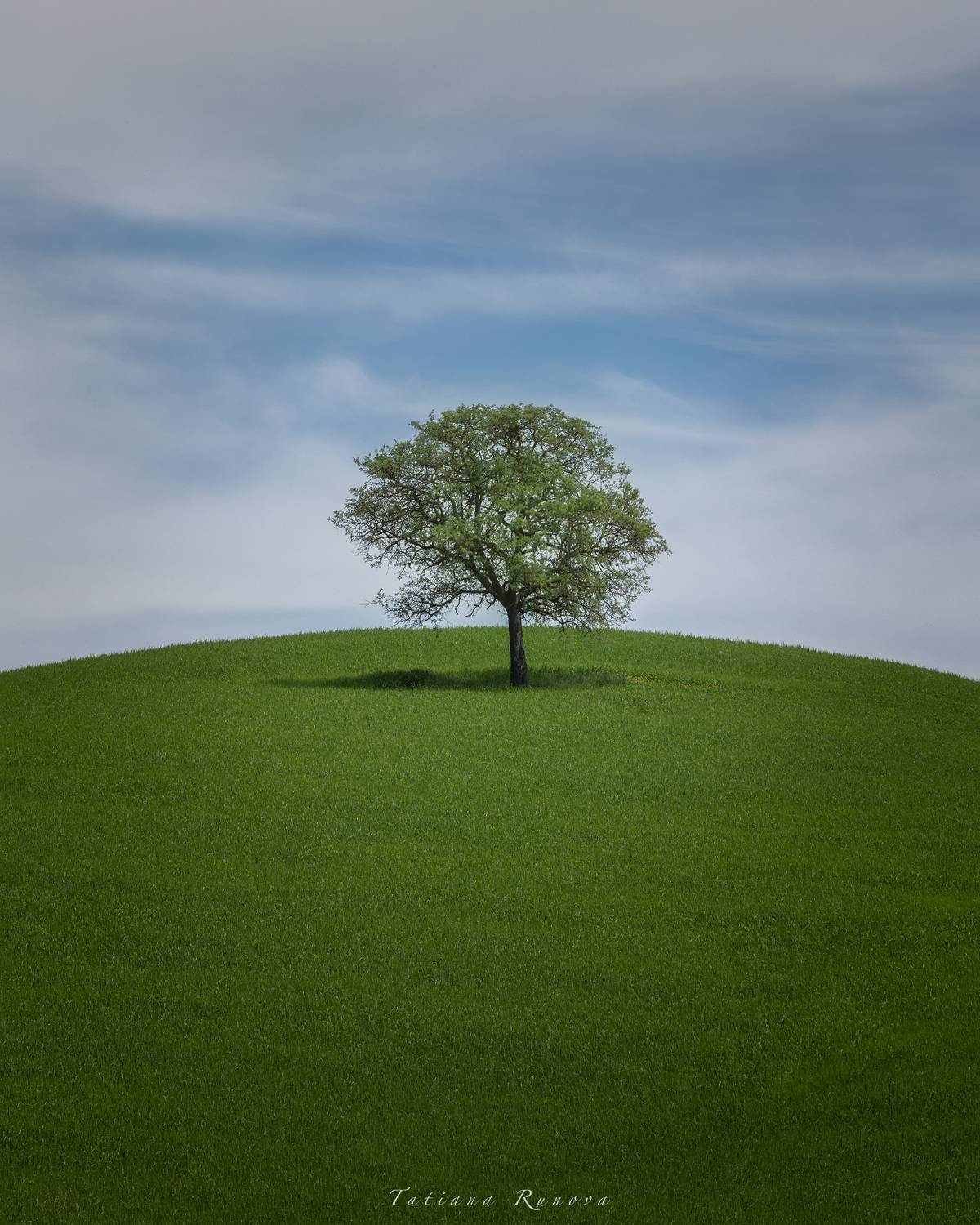 , Рунова Татьяна