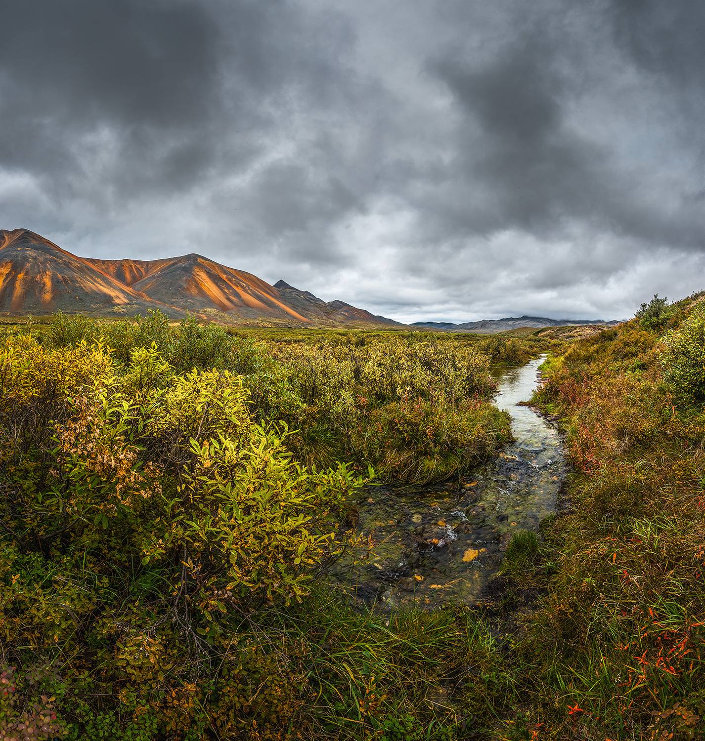 , Андреев Николай